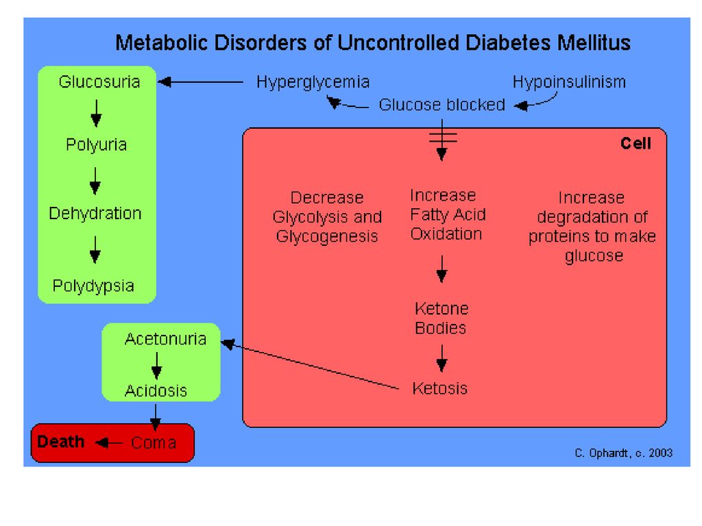 Simptomas cetosis metabolica